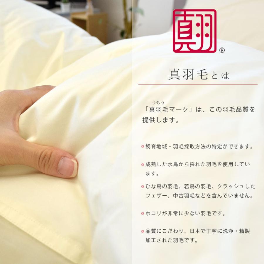 羽毛布団 ダブル 暖かい布団 日本製 グース93％ 国内洗浄 羽毛掛け布団