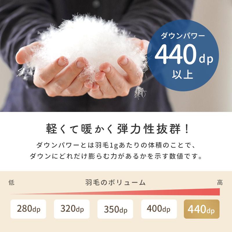 羽毛布団 ダブル 日本製 暖かいふとん ダウン93％ 0.9kg 超軽量 軽い