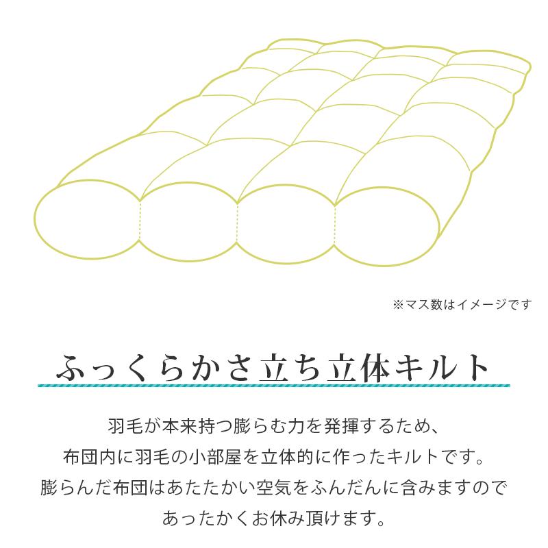 羽毛布団 クイーン ダウン93％ 1.6kg 日本製 殺菌 消臭 防カビ 国内