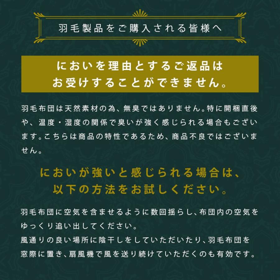 羽毛布団 ダブル グースダウン93％ 再生羽毛 リサイクルダウン 日本製