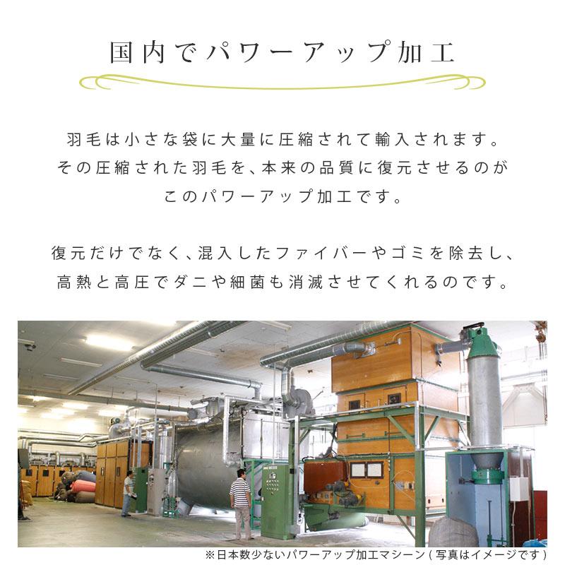 羽毛布団 ダブルロング ふとん 日本製 ダックダウン90％ 1.6kg 2層キルト 羽毛掛け布団 エクセルゴールドラベル |  | 27
