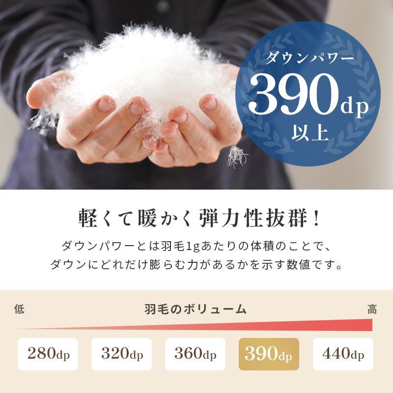 西川（nishikawa） 羽毛布団 ダブル フランス産ダウン93％ 増量1.8kg