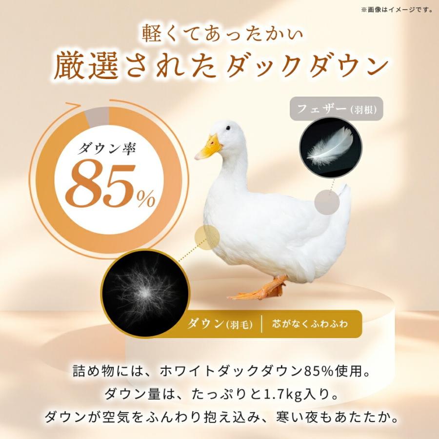 西川（nishikawa） 羽毛布団 ダブル 日本製 ダックダウン85％ 秋 冬