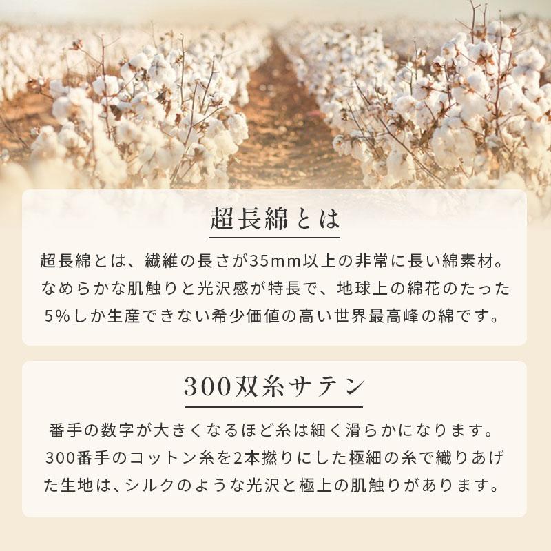 羽毛布団 ダブル カナダ産 マザーグースダウン95％ 1.8kg 日本製