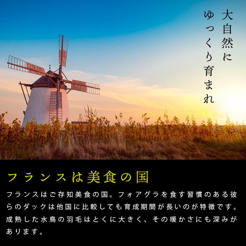 羽毛布団 ダブル 西川 フランス産ダウン93％ 1.7kg 日本製 超密着つまみキルト 羽毛掛け布団 暖かい布団 ダブルロング｜futon｜15