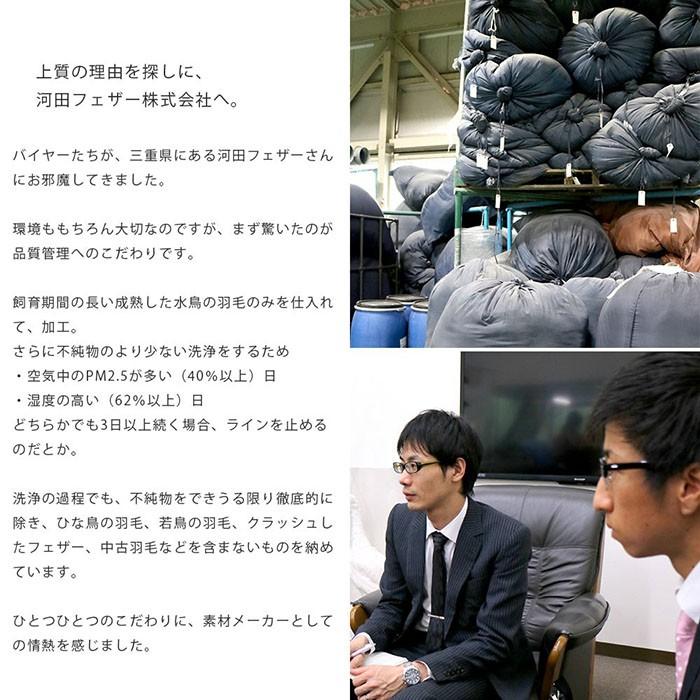 羽毛布団 ダブル 日本製 フランス産ダウン90％ 1.3kg 国内洗浄 羽毛