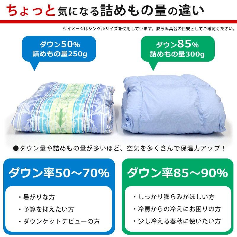 羽毛肌掛け布団 クイーン ポーランド産ダウン93% ダウンケット 日本製 夏の羽毛布団 肌布団 ふとん ロイヤルゴールドラベル｜futon｜09