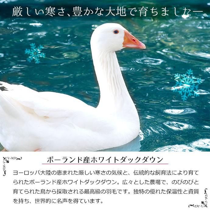 日本製 2枚合わせ羽毛布団 クイーンロング ホワイトダックダウン93% 羽毛布団 クイーン 暖かい布団 日本製 ダウン93％ オールシーズン2枚