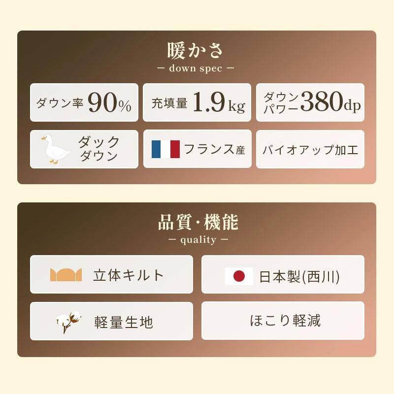 西川（nishikawa） 羽毛布団 クイーン フランス産ホワイトダックダウン