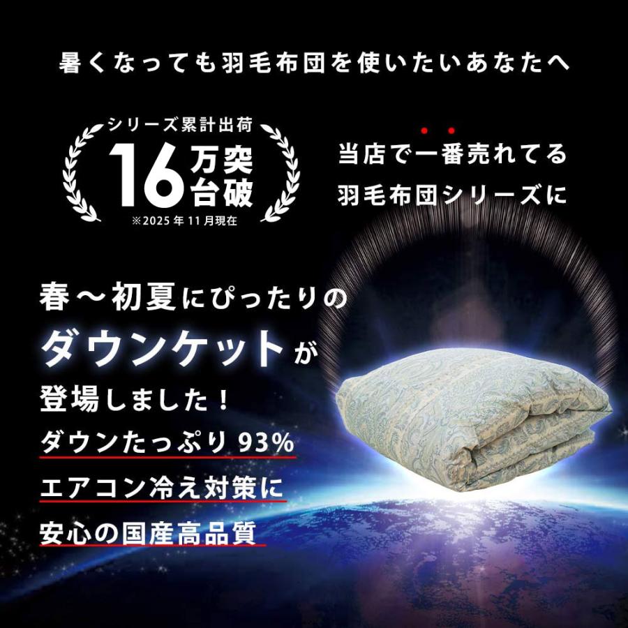 ダウンケット 羽毛肌掛け布団 シングル ポーランド産ダウン93% 日本製