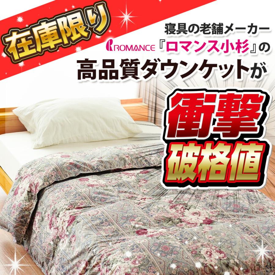 新品未使用　エトロ　羽毛布団　肌掛け　ダウン85　レッド 洗える羽毛肌掛けふとん・ダウンケット 日本製ダックダウン85％ 350