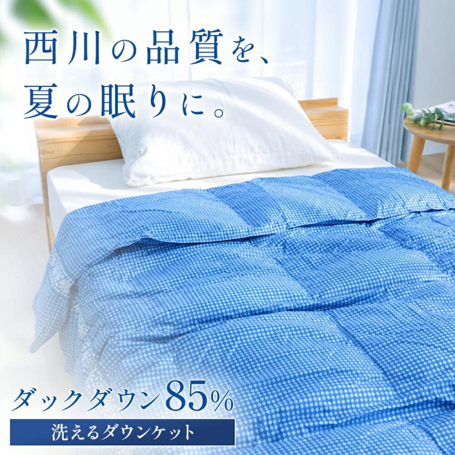 西川（nishikawa） 訳あり品 ダウンケット シングル 洗える 羽毛肌