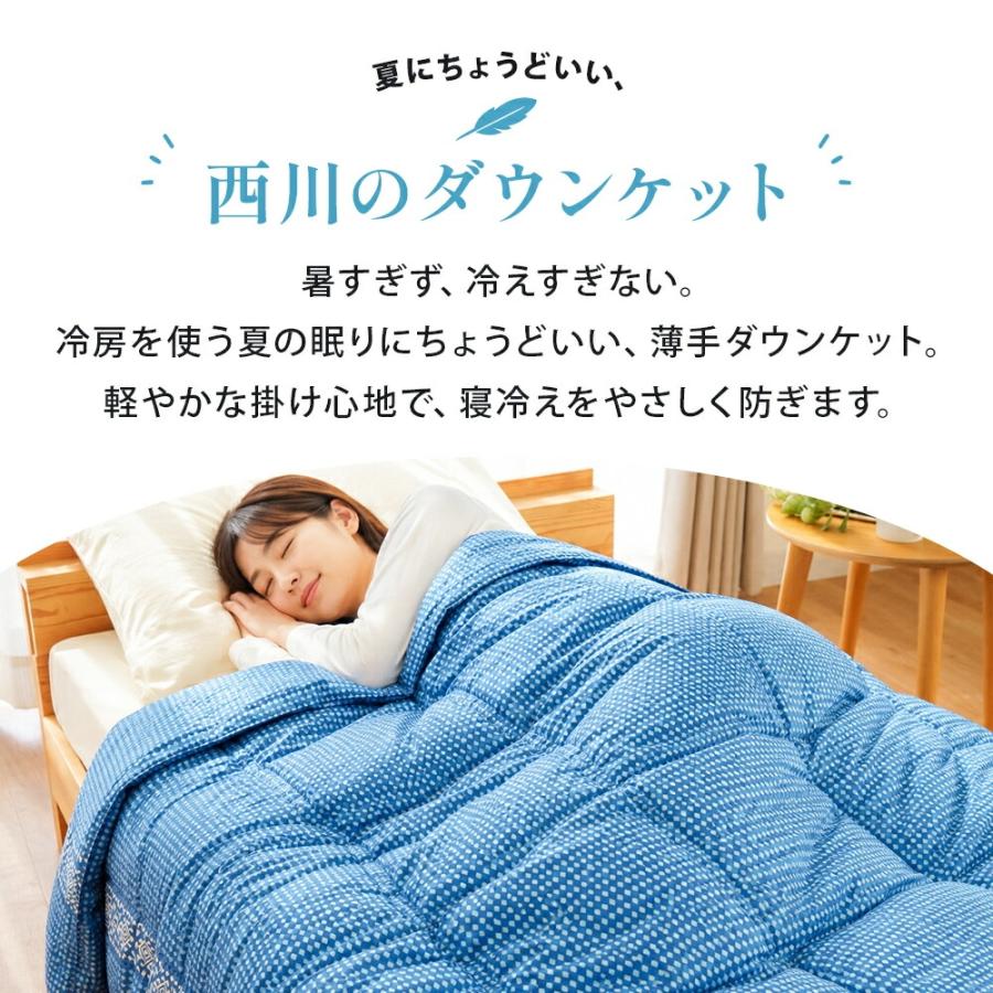 西川（nishikawa） 訳あり品 ダウンケット シングル 洗える 羽毛肌