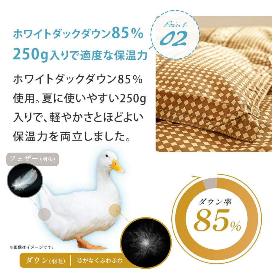 西川（nishikawa） 訳あり品 ダウンケット シングル 洗える 羽毛肌