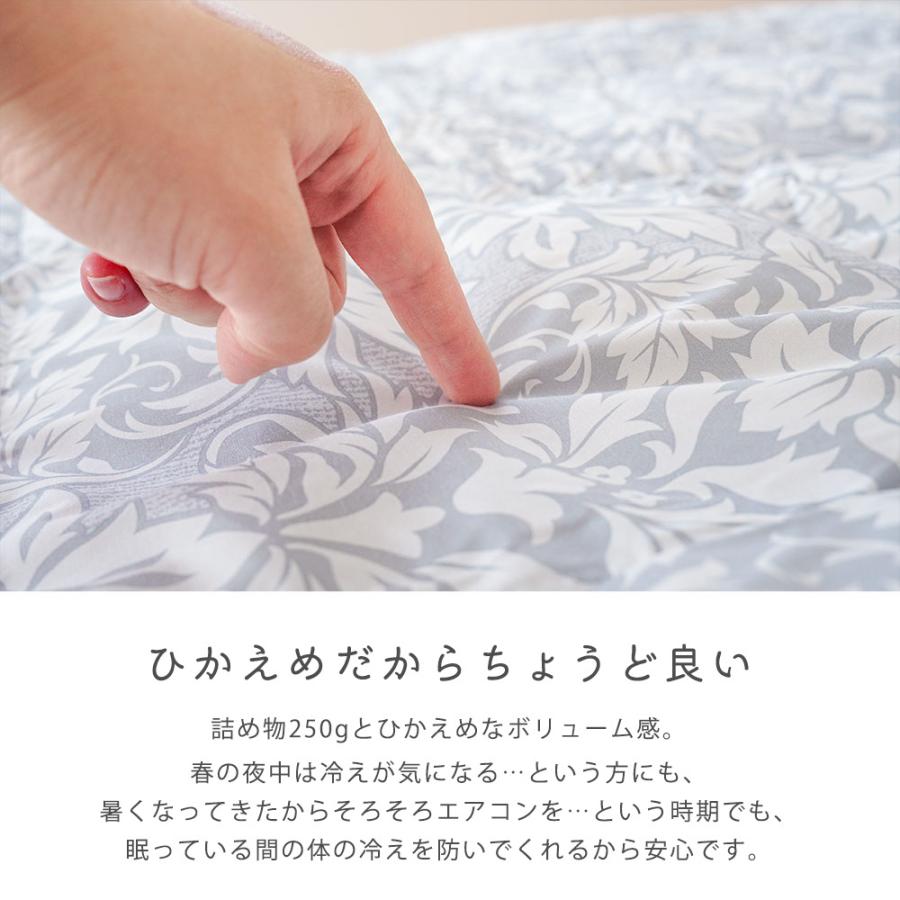 昭和西川 ダウンケット シングル 羽毛肌掛け布団 シングルロング