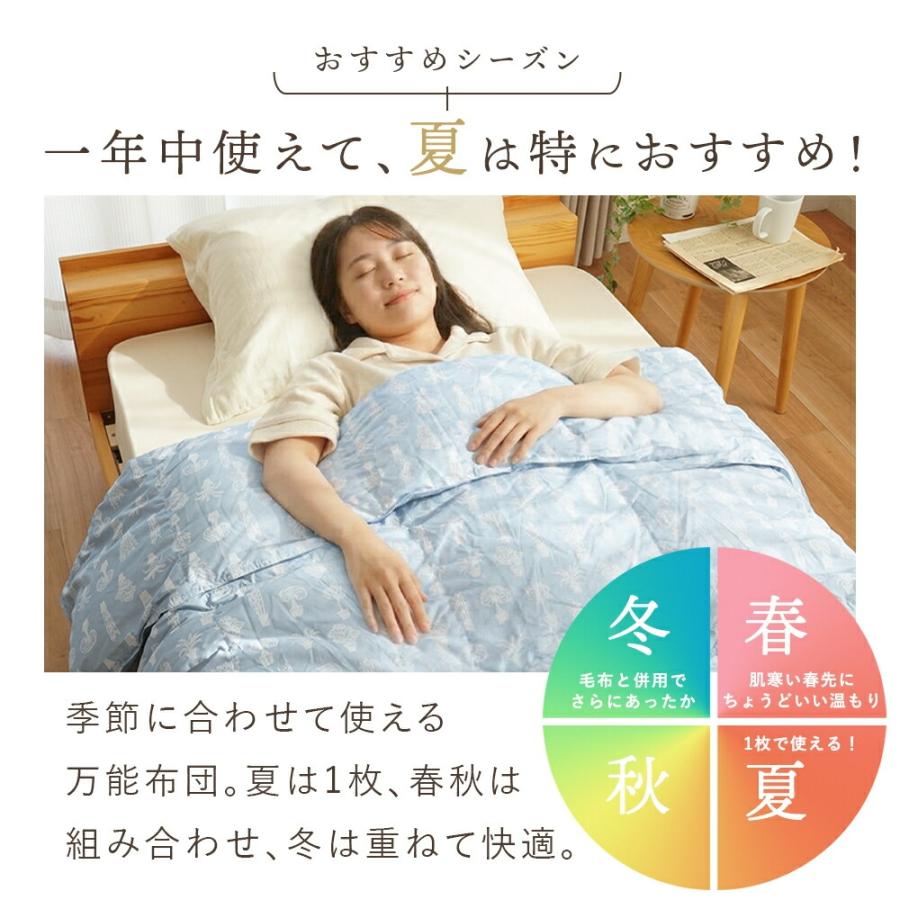 日本製 羽毛肌掛け布団 シングル ダウン93%【新品・未使用品】枕付き 羽毛肌掛け布団 シングル ホワイトダウン93％ 0.25kg 日本製 洗える