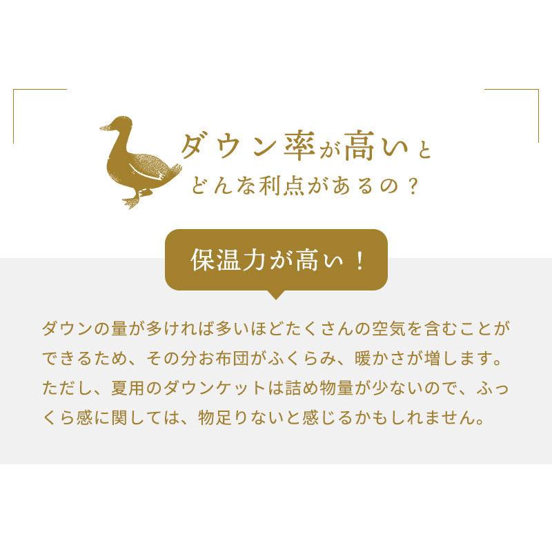 西川 ダウンケット 羽毛肌掛け布団 シングル 日本製 フランス産