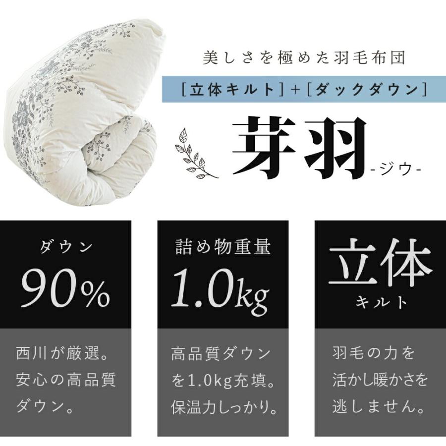 西川リビング 羽毛布団 シングル 日本製 イギリス産ホワイトダウン90% ② 西川 羽毛布団 シングル イングランドダウン90% 1.0kg DP360