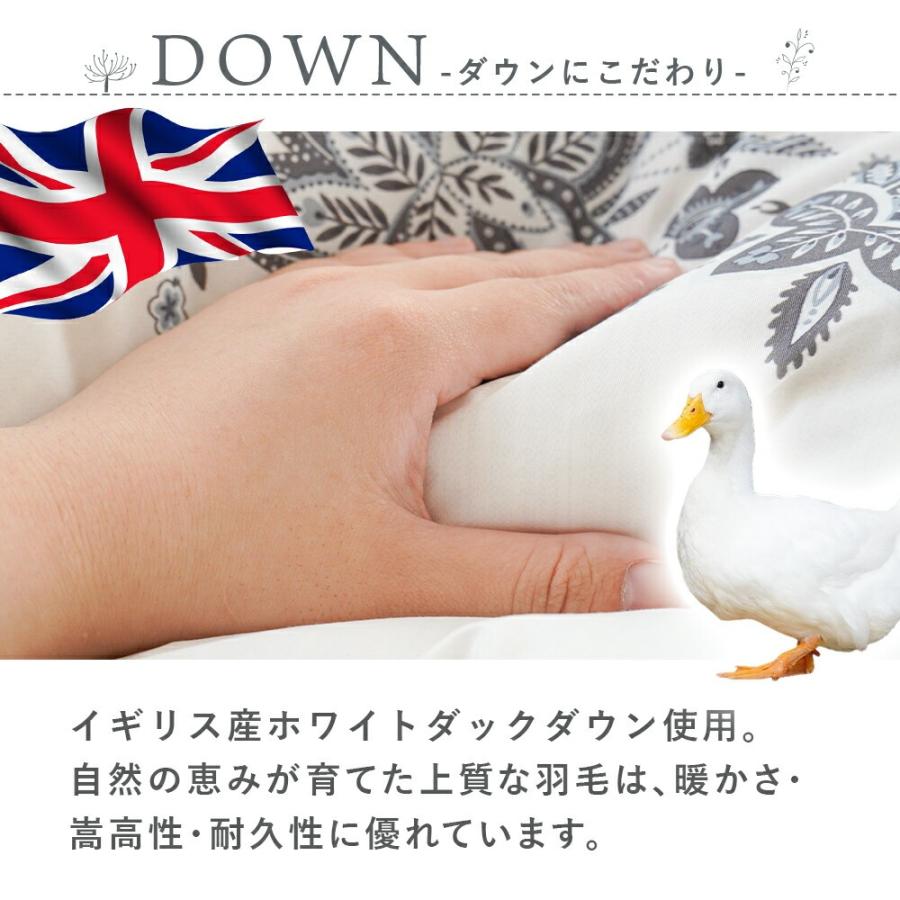 西川 羽毛布団 シングル イングランドダウン90% 1.0kg DP360