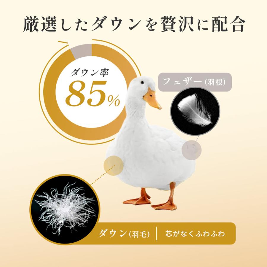 西川 羽毛布団 シングル ホワイトダックダウン85% 1.0kg 日本製 西川 羽毛布団 シングル ホワイトダックダウン85% 1.0kg 日本製