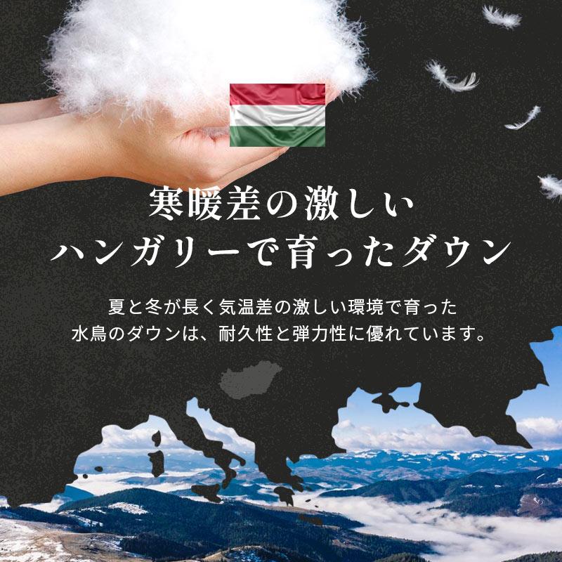 羽毛布団 シングル ハンガリー産グースダウン93％ 1.1kg 380dp 日本製