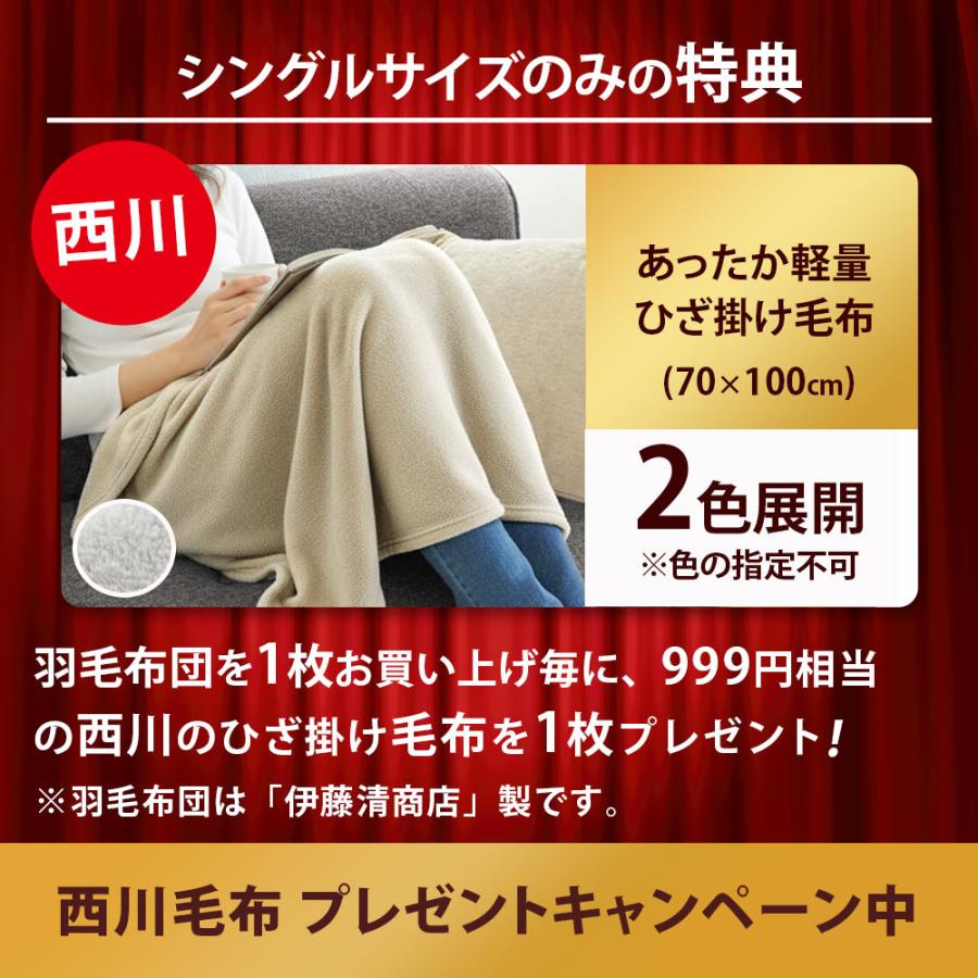 羽毛布団 シングル 冬用 日本製 ポーランド産ダウン93％ 1.2kg