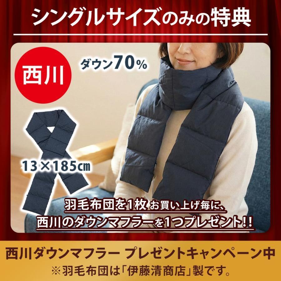 羽毛布団 シングル 冬用 日本製 ポーランド産ダウン93％ 1.0kg