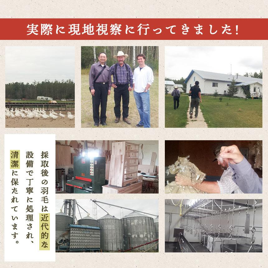 羽毛布団 シングル カナダ産グース93％ 増量1.2kg 日本製 簡易完全立体キルト 冬用 羽毛掛け布団 ふとん 悠 yu 京都羽毛 |  | 09