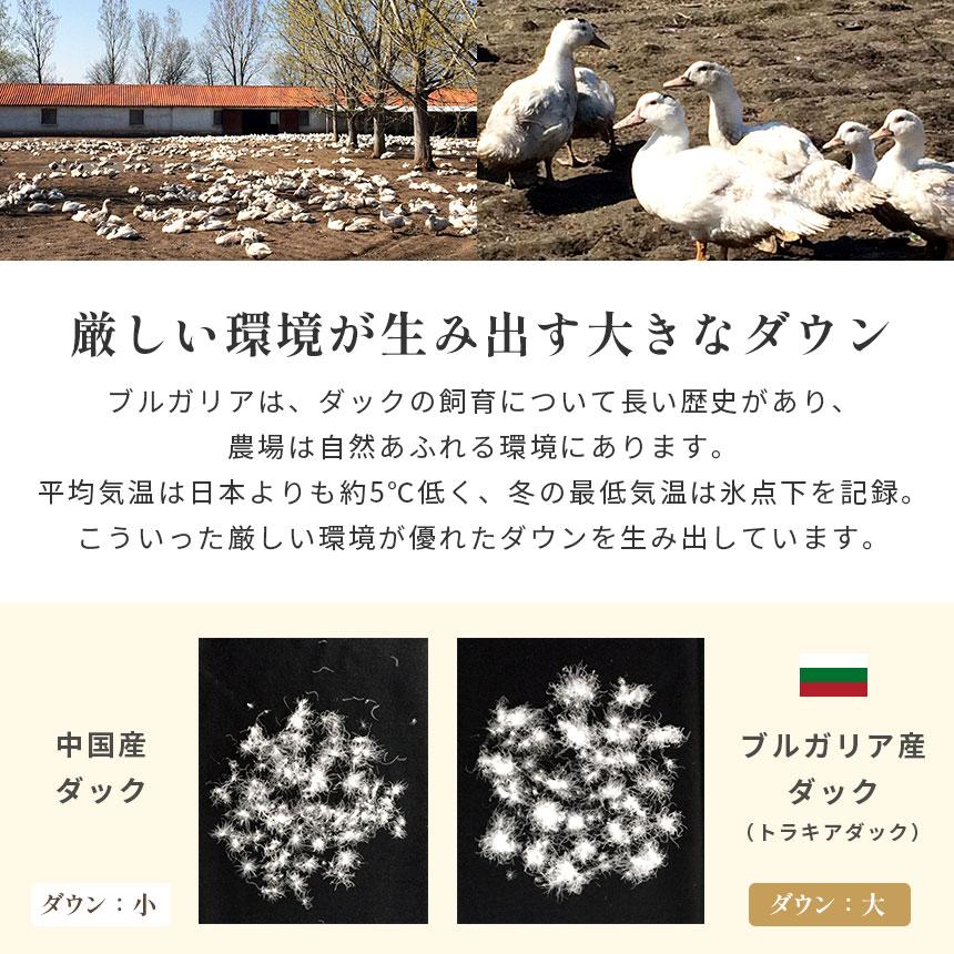 羽毛布団 シングル ブルガリア産ホワイトダックダウン93％ 日本製 抗菌