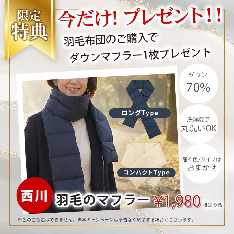 羽毛布団 シングル ハンガリー産マザーグース95% 2枚合わせ羽毛