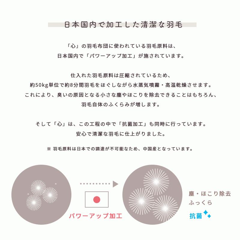 羽毛布団 シングル ホワイトダウン90％ 日本製 国内パワーアップ加工 秋冬 冬用 抗菌 無地 羽毛掛け布団 心 kokoro おすすめ |  | 07