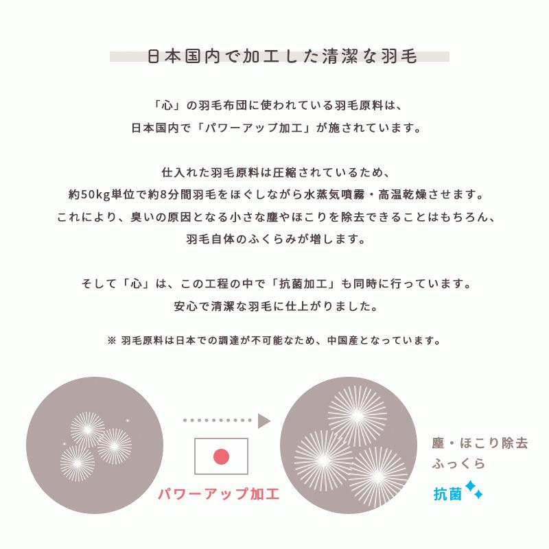 羽毛布団 シングル ホワイトダウン90％ 日本製 国内パワーアップ加工 秋冬 冬用 抗菌 無地 羽毛掛け布団 心 kokoro おすすめ｜futon｜08