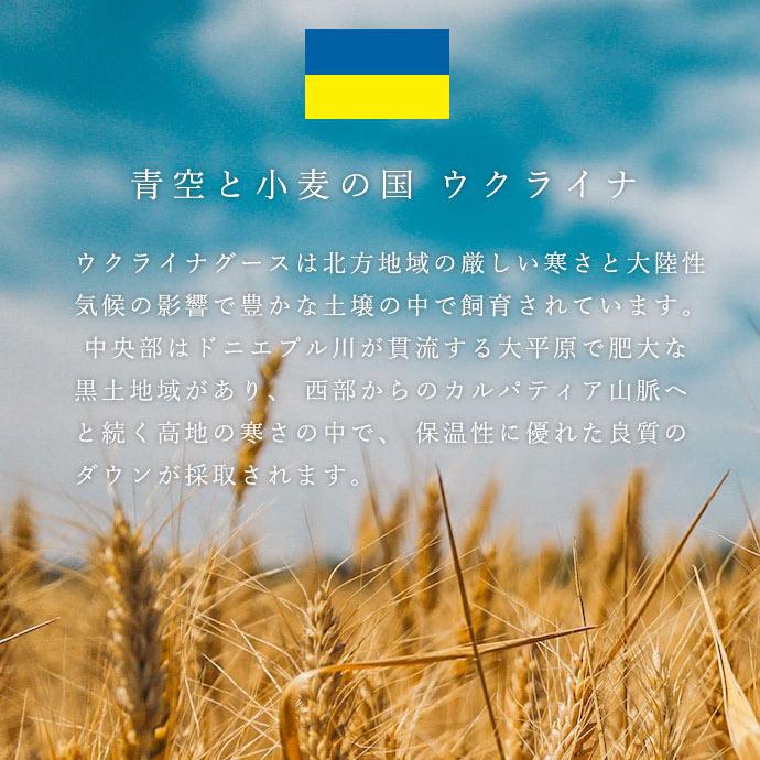 羽毛布団 シングル 暖かい布団 ロイヤルゴールドラベル ウクライナ産