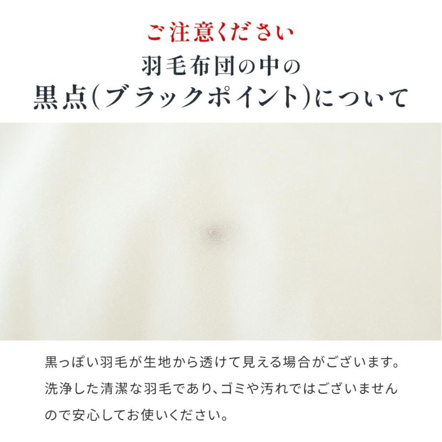 羽毛布団 シングル グースダウン93％ 再生羽毛 リサイクルダウン 日本