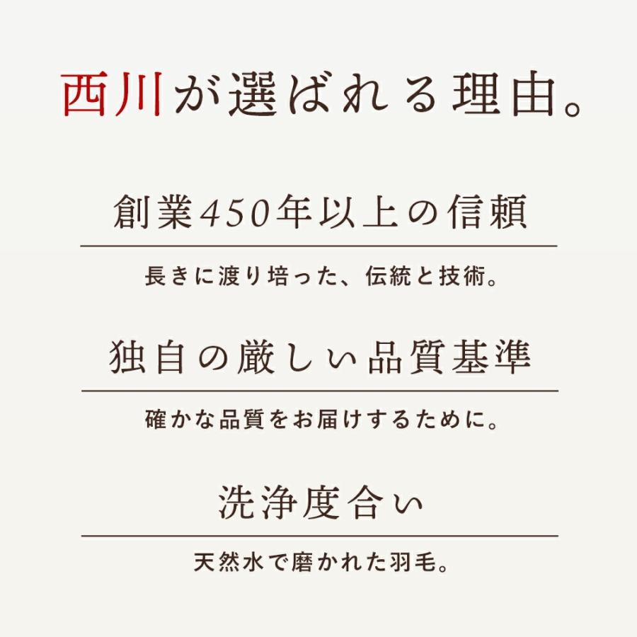 西川（nishikawa） 羽毛布団 シングル ポーランドダウン90% 1.0kg