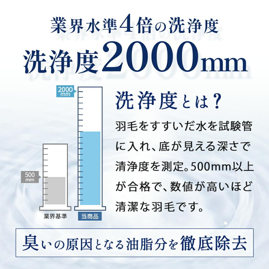 羽毛布団 シングル 日本製 フランス産ダウン90％ 1.0kg 国内洗浄 羽毛