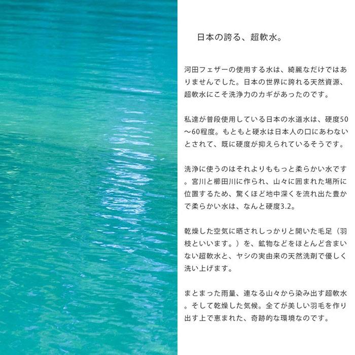 羽毛布団 シングル 日本製 フランス産ダウン90％ 1.0kg 国内洗浄 羽毛