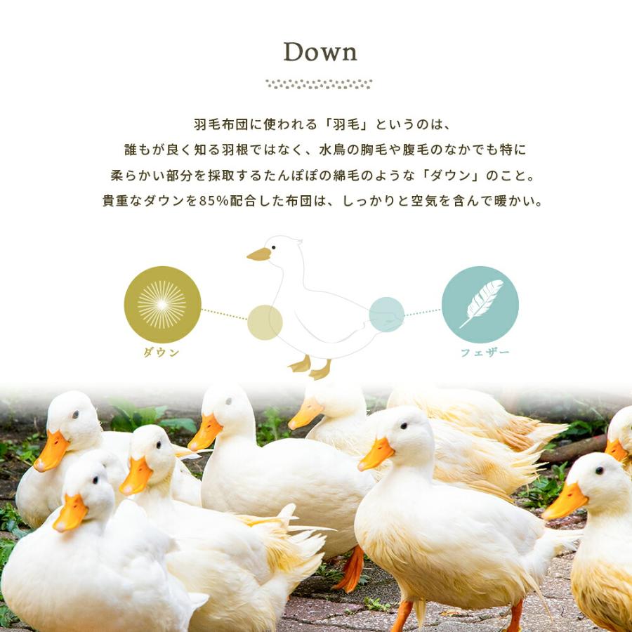 羽毛布団 シングル 日本製 掛け布団 冬 ダウン85％ 1.2kg 立体キルト 暖かい 京都羽毛 初 ui 350dp |  | 15