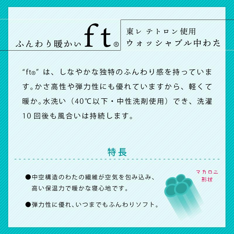 肌掛け布団 洗える布団 シングル 2枚セット set 日本製 東レ テトロン
