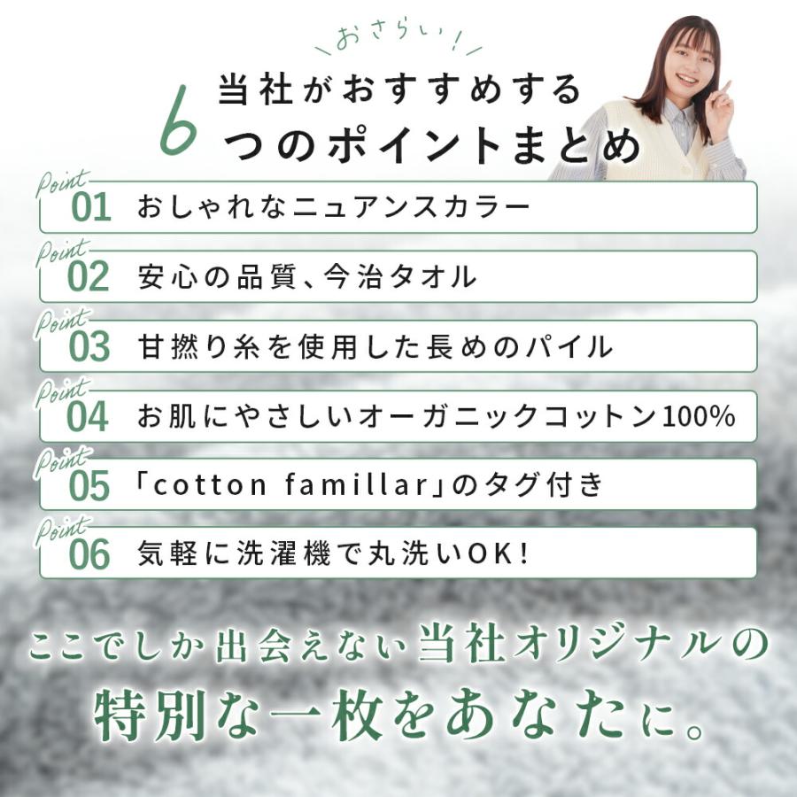 今治タオル（imabari towel） タオルケット 今治 シングル 2枚セット