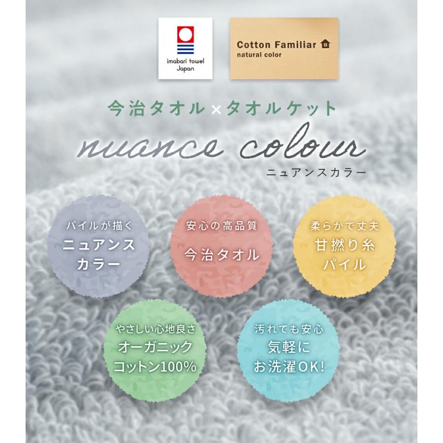 今治タオル（imabari towel） タオルケット 今治 シングル 2枚セット
