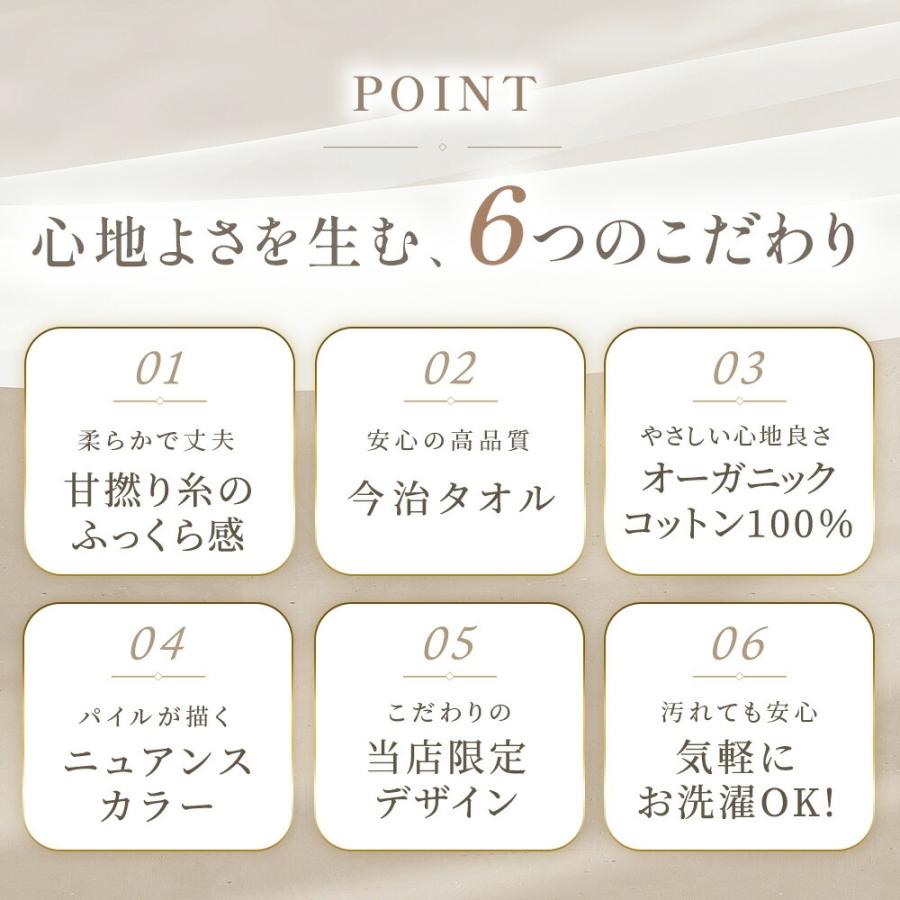 今治タオル（imabari towel） タオルケット 今治 シングル 2枚セット