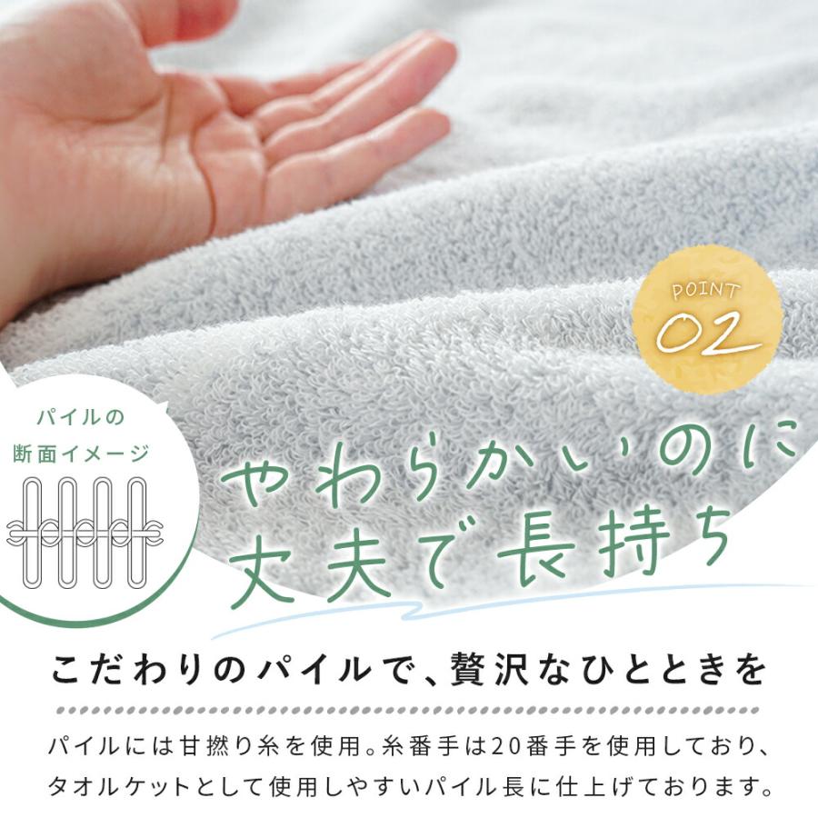 今治タオル（imabari towel） タオルケット 今治 シングル 2枚セット