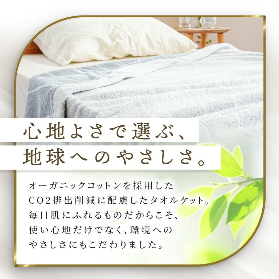 今治タオル（imabari towel） タオルケット 今治 シングル 日本製 厚手