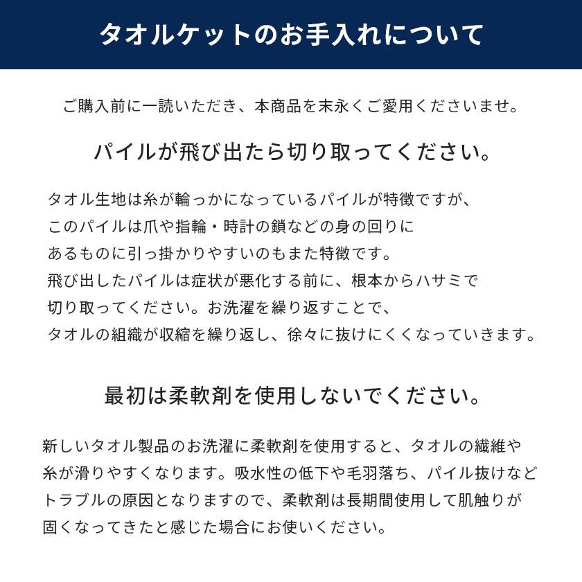 今治タオル タオルケット シングル 綿100％ 今治 3枚セット set