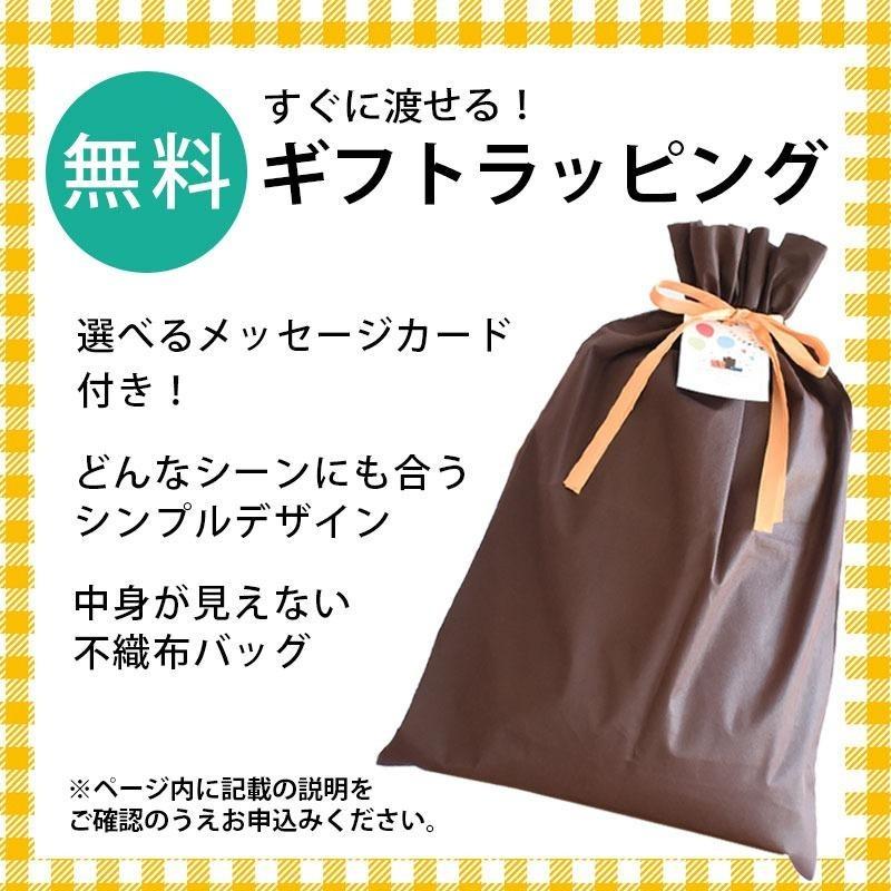今治タオル（imabari towel） タオルケット 今治 シングル 2枚セット