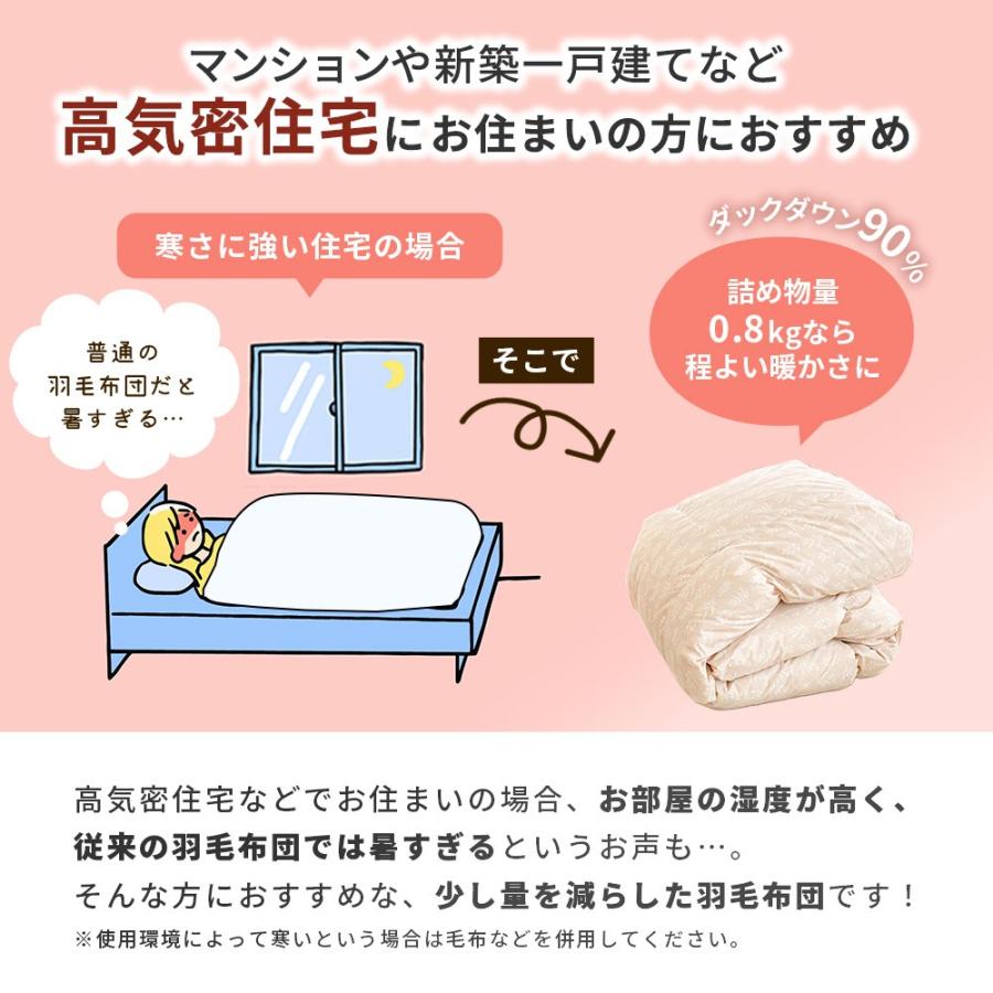 西川（nishikawa） 羽毛布団 シングル 日本製 ecoダウン エコダウン