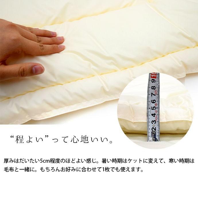 洗える布団 掛け布団 シングル 日本製 セベリスα 抗菌防臭 洗える布団 掛け布団 シングル 日本製 セベリスα 抗菌防臭
