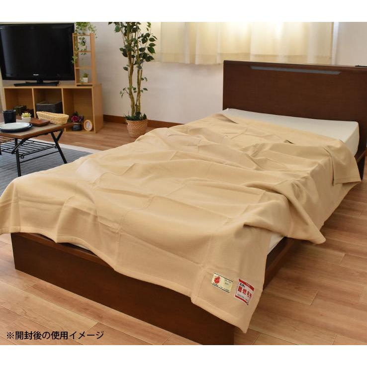 毛布 シングル 10枚 真空パック入り燃えにくい防災 難燃 防炎 フリース