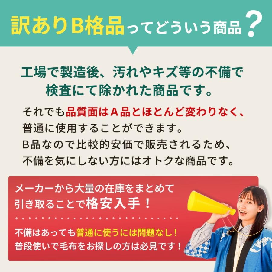 MEYER（マイヤー） 訳あり 毛布 シングル ニューマイヤー 日本製